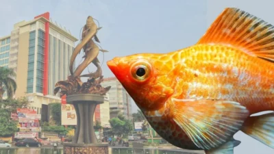 Gambar ikan molly balon golden dengan background tugu selais tiga sepadan