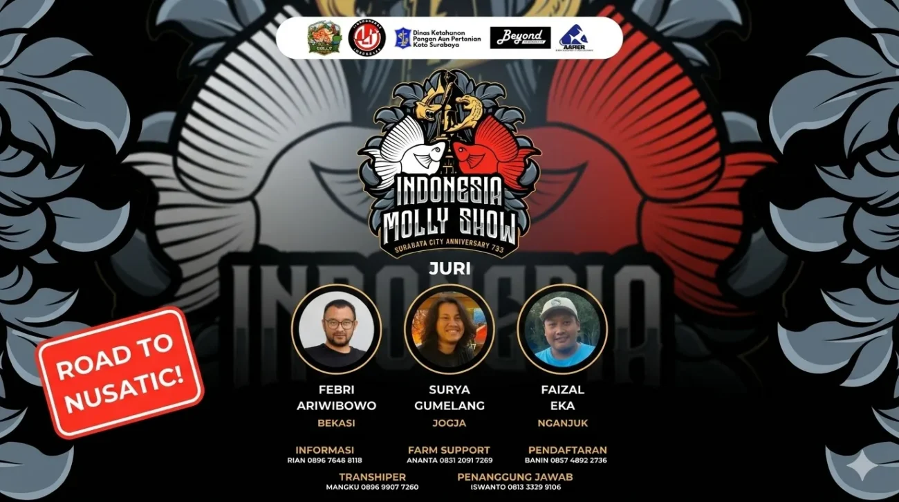 Gambar juri acara lomba ikan molly