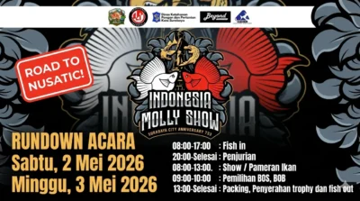Gambar poster kontes ikan molly di surabaya