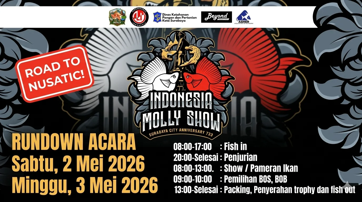 Gambar poster kontes ikan molly di surabaya