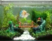 gambar aquascape ikan cupang