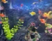 Gambar ikan hias glofish