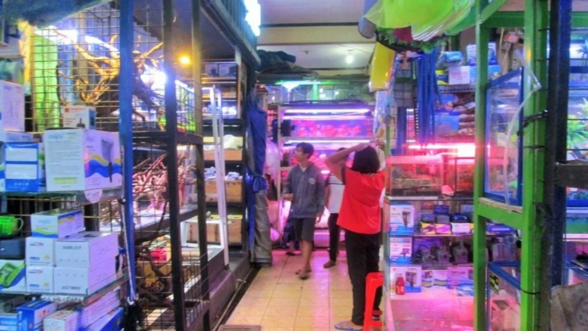Pasar ikan hias depok