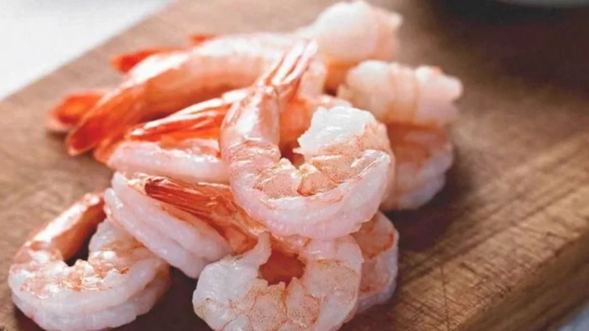 Gambar udang makanan ikan predator