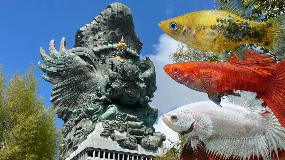 Gambar ikan denpasar