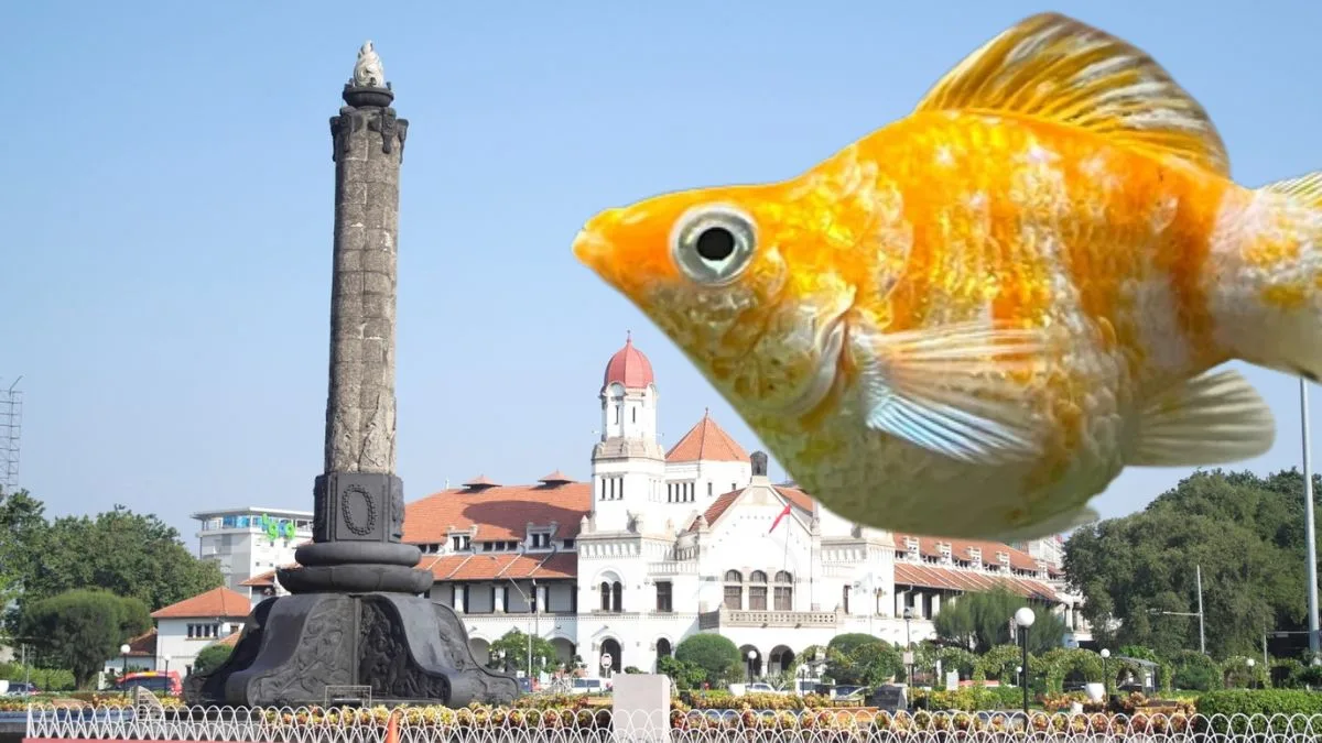 Gambar monumen semarang dengan ikan hias molly