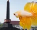 Gambar tugu malang sebagai ikonik tempat jual ikan hias malang