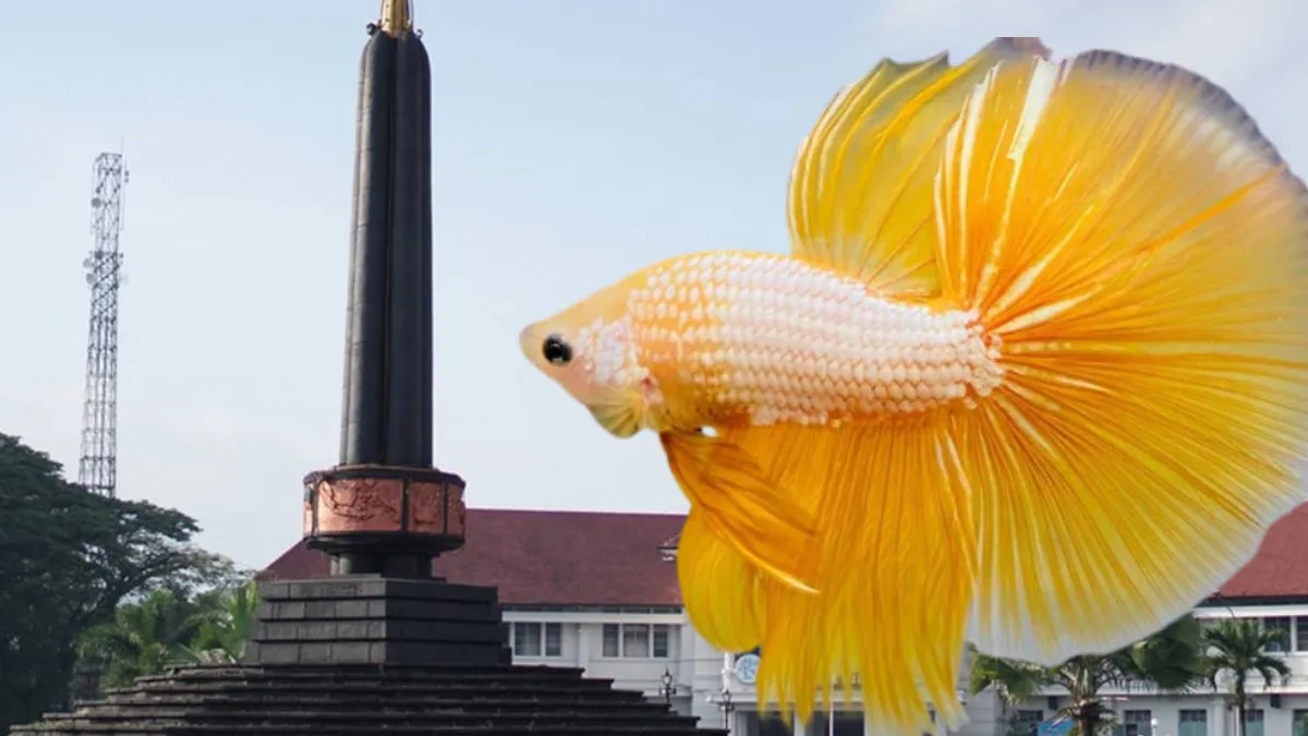 Gambar tugu malang sebagai ikonik tempat jual ikan hias malang