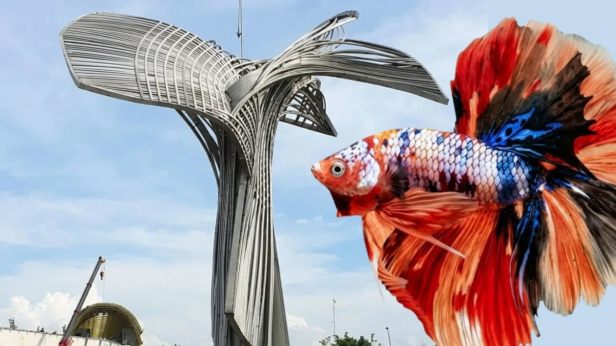 Gambar tugu palembang dengan ikan cupang sebagai tempat jual ikanhias palembang