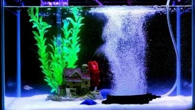 Gambar aerator di akuarium untuk artikel harga aerator