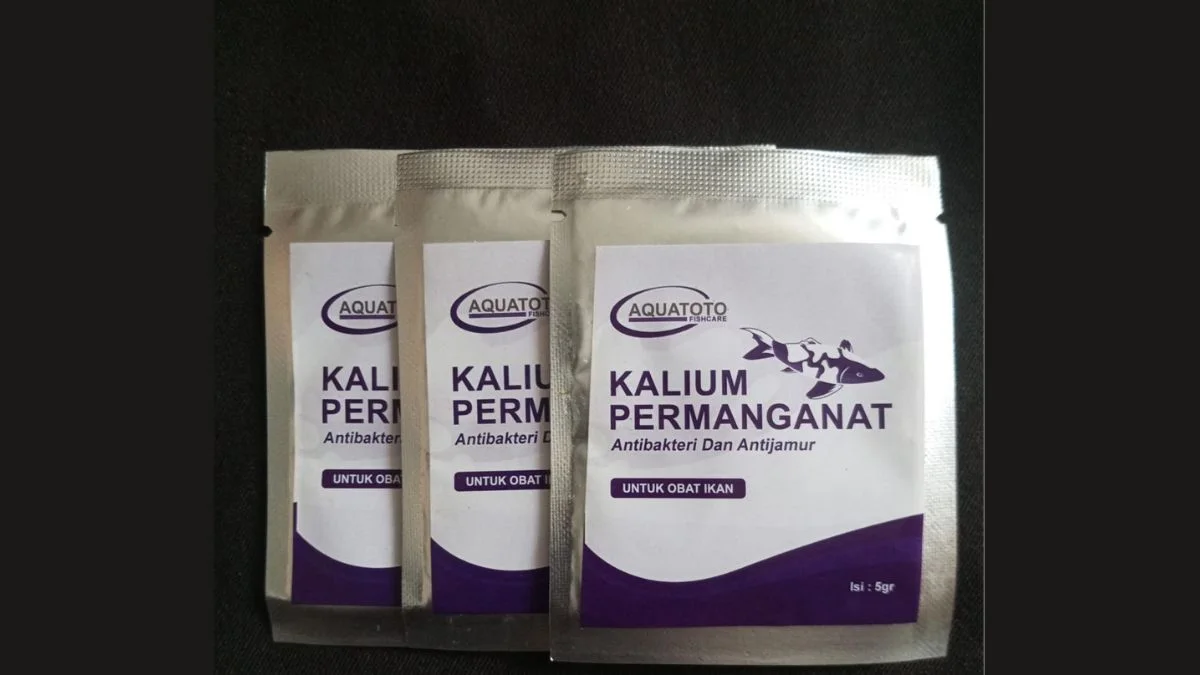 gambar-kalium-permanganat-obat-untuk-ikan-molly Gambar kalium permanganat obat untuk ikan molly
