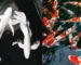 Gambar ikan koi slayer vs koi biasa